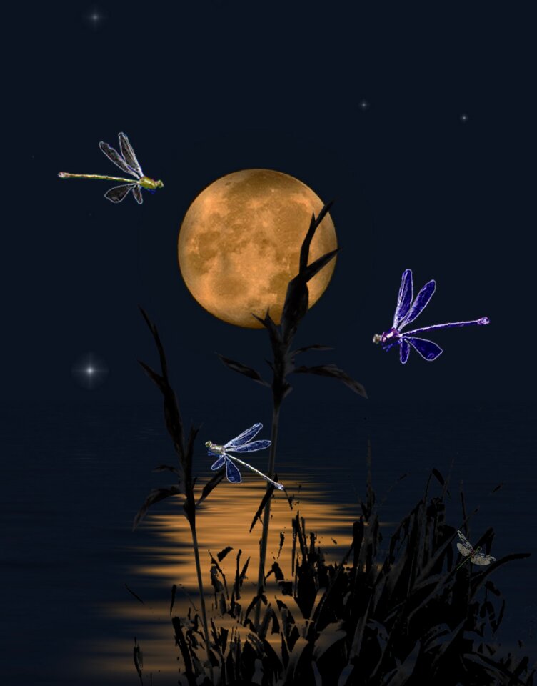 Moon night mood