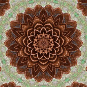 Kaleidoscope brown mandala Free illustrations