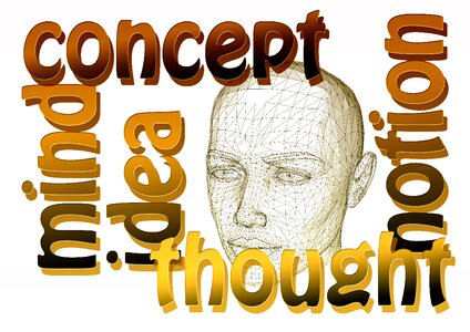 Term concept head