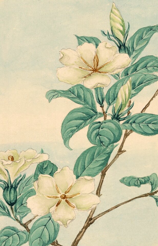 Painting print painted