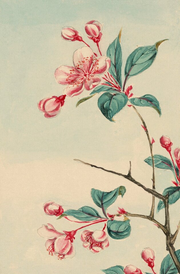 Painting print painted