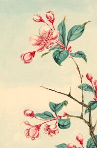 Painting print painted