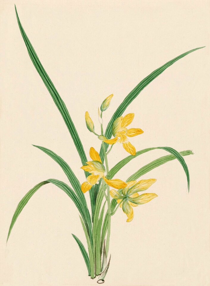 Painting print painted