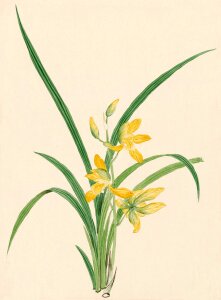 Painting print painted