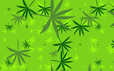 Spring background Free illustrations