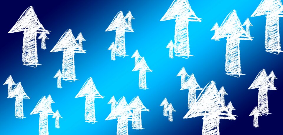 Strategy startup social media