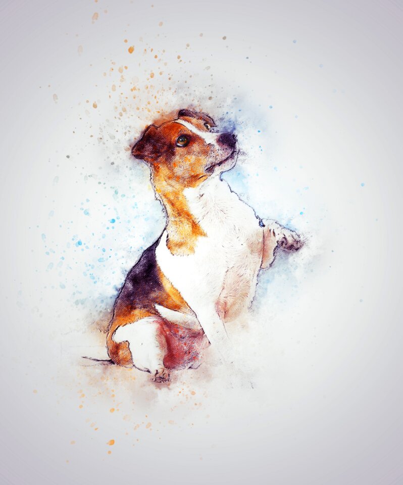 Animal nature art