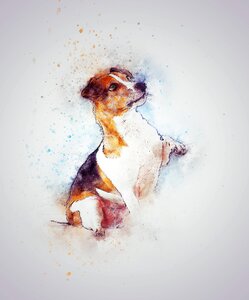 Animal nature art