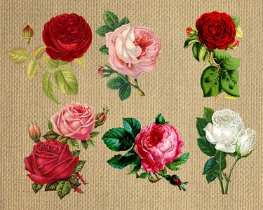 Collection vintage composition