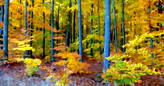 Watercolor landscape Free illustrations