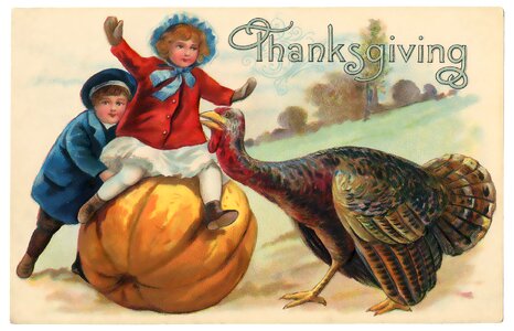 Victorian old turkey