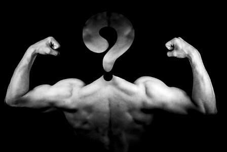 Back biceps triceps