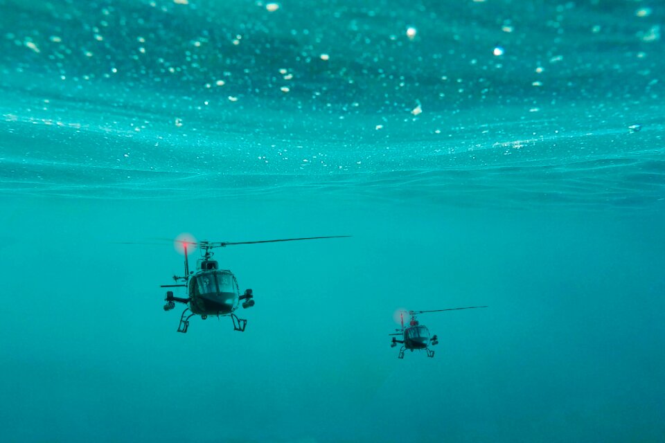 Ocean marine adventure