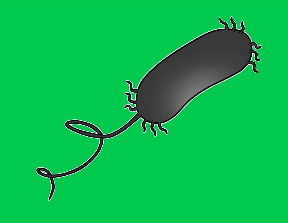 Micro-organism health Free illustrations