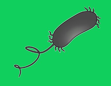 Micro-organism health Free illustrations