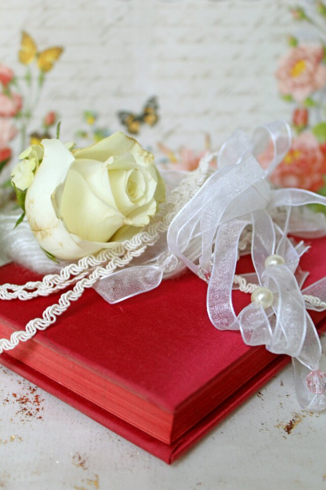 Romantic butterflies romance