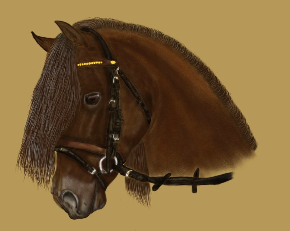 Art digital artwork head