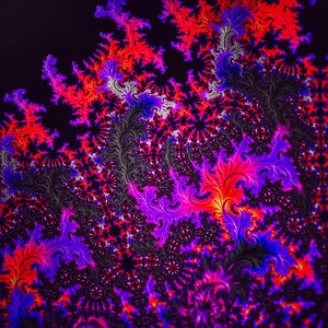 Mandelbrot art Free illustrations