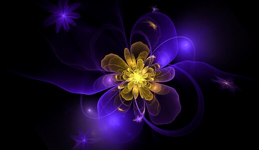 Blue gold bloom