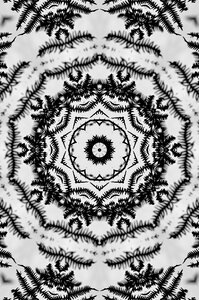 Kaleidoscope circle repetition