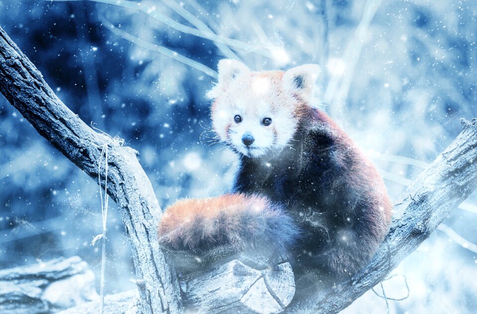 Art vintage winter