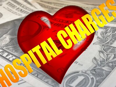 Hospital health dollar