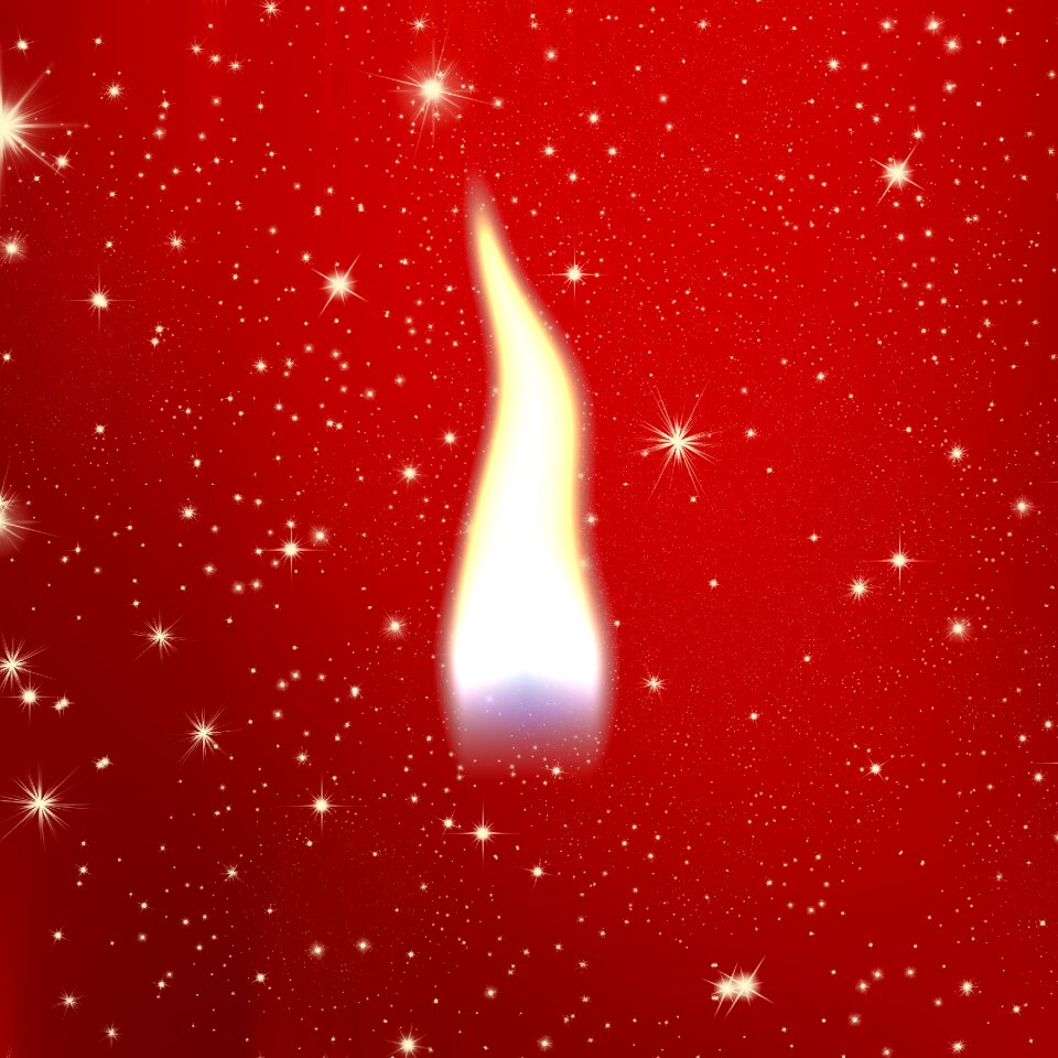Christmas red white