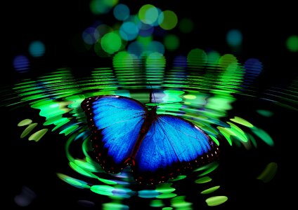 Circle meditation reflection