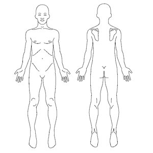 Human figure anatomy