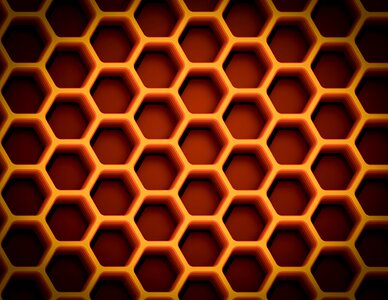 Food honey design