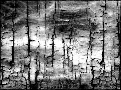 Form wallpaper paper