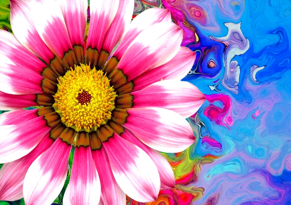 Nature pink summer