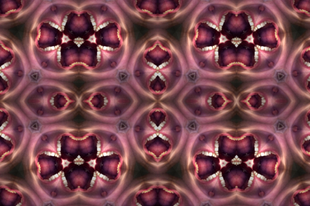 Horror stress pattern