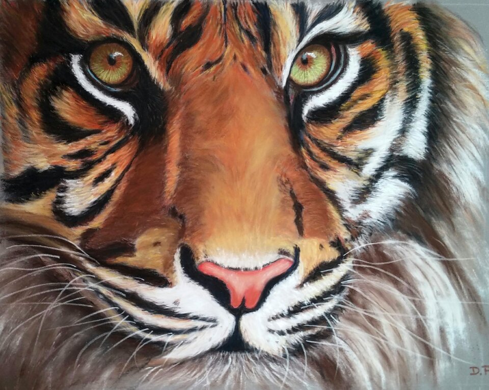 Drawing art animal