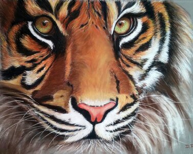 Drawing art animal