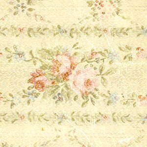 Texture scrapbook vintage