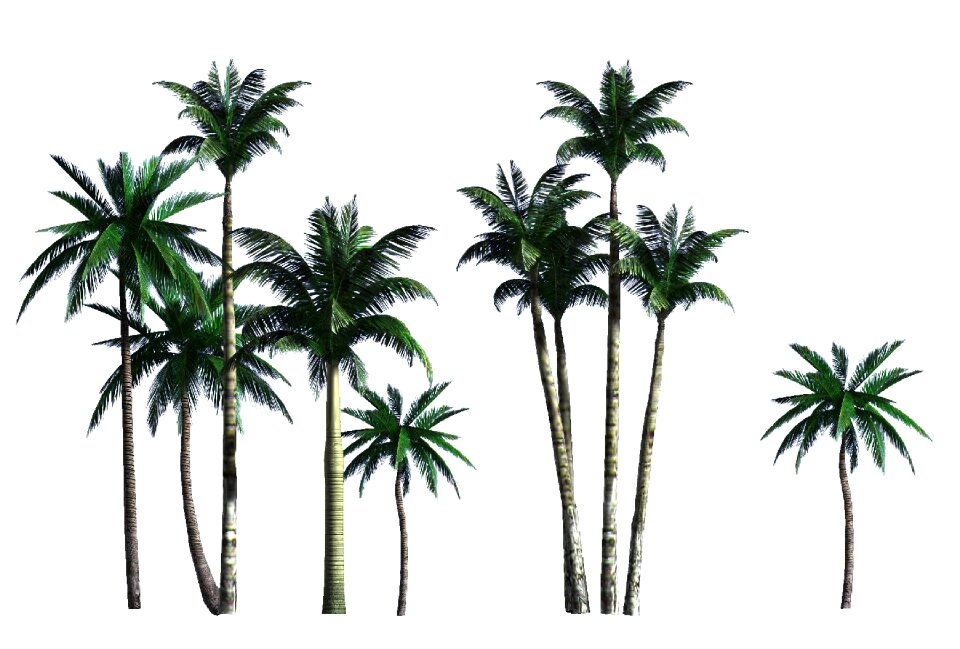 Tree 1 Free illustrations