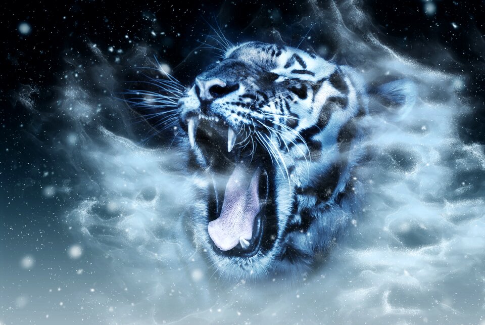 Animal big cat