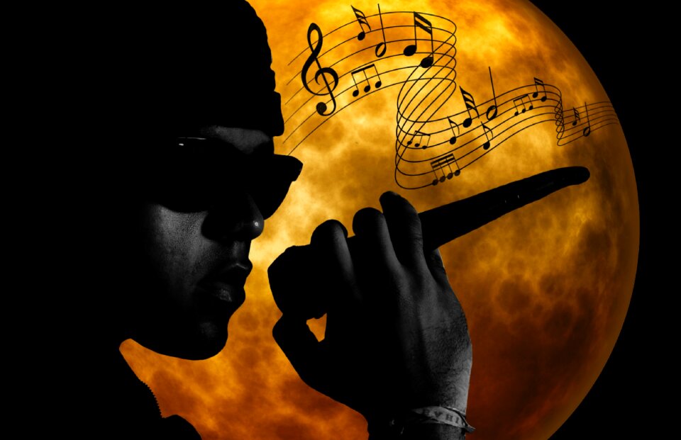 Artists microphone entertainment