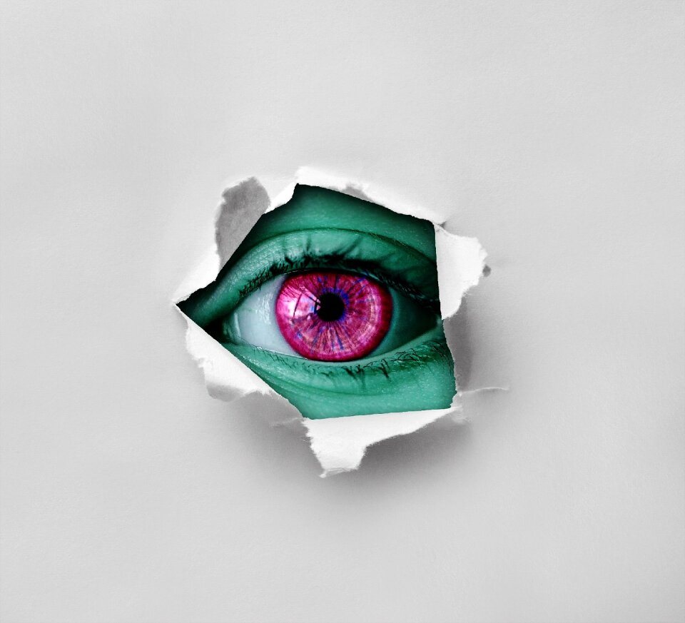 Paper hole torn