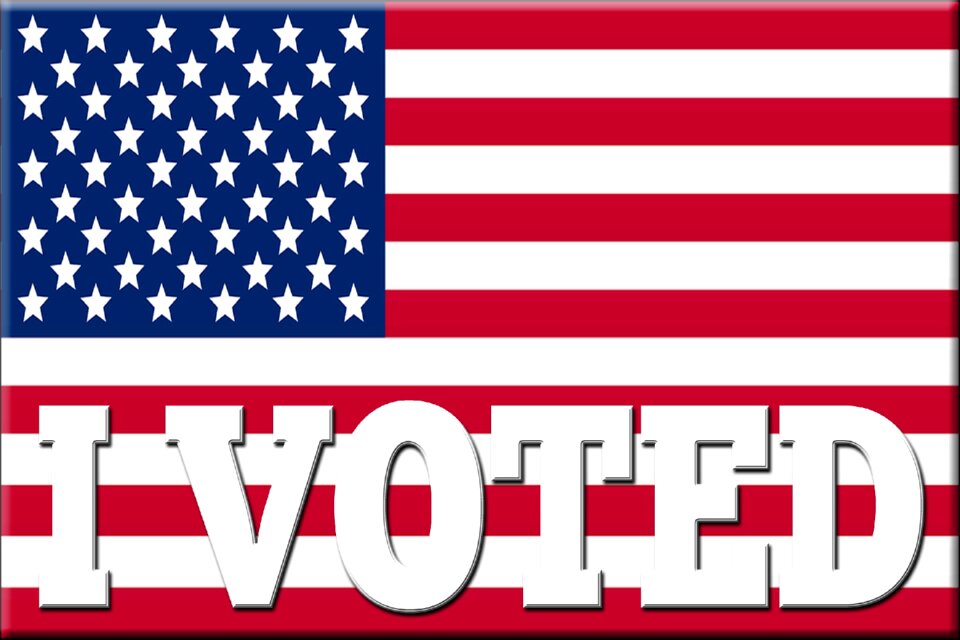 Voting political government
