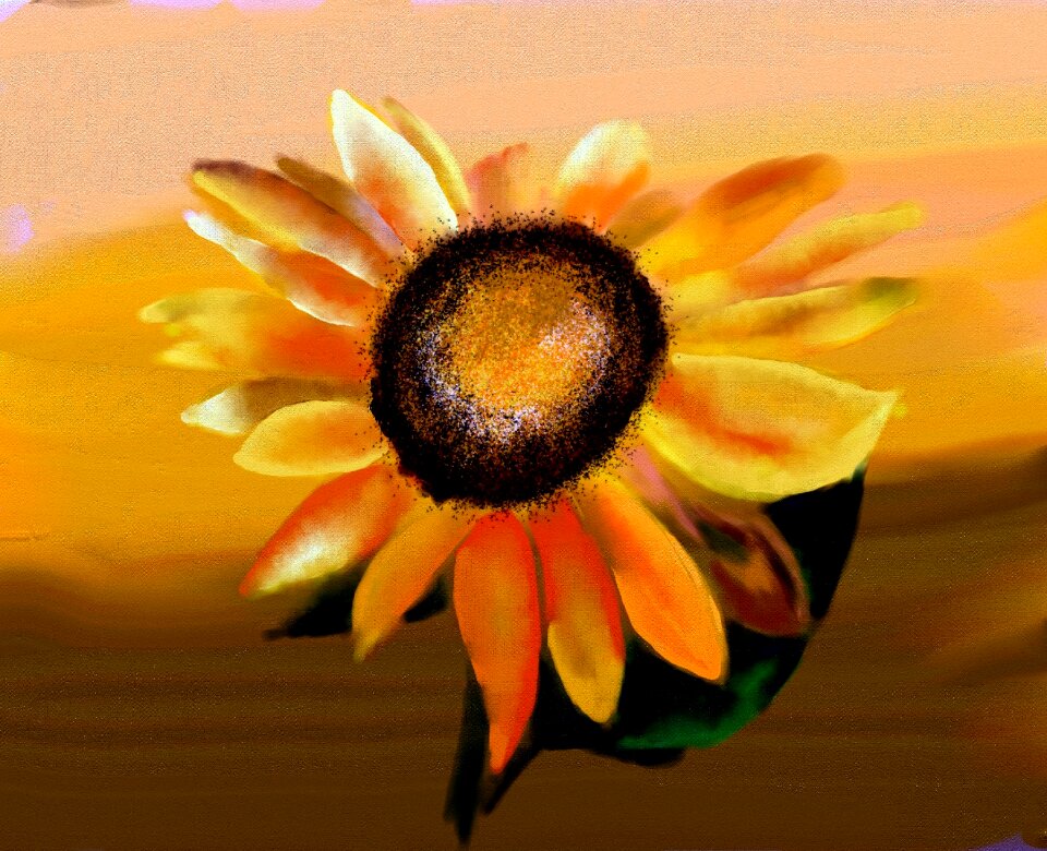 Bloom yellow nature