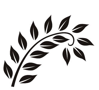 Branch leaves black white
