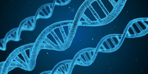 3d biotechnology chemistry