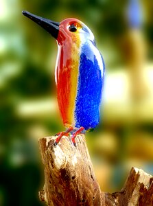 Nature colorful bill