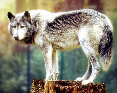 Wild nature painting