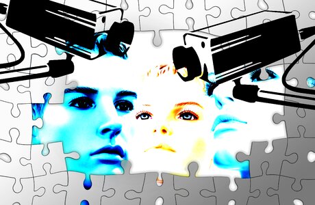 Puzzle camera monitoring