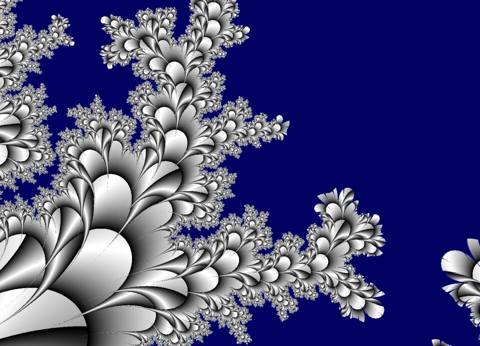 Flowers background leaf