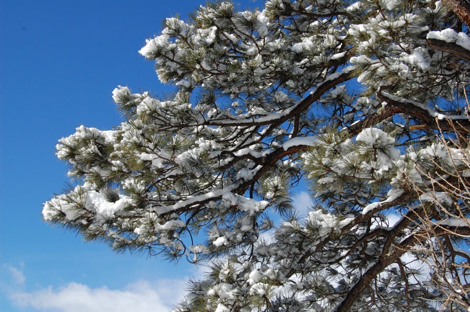 Sky winter cold