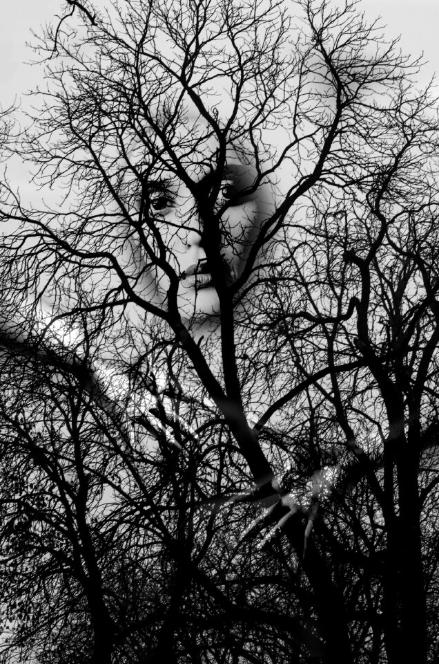 Woman aesthetic branches